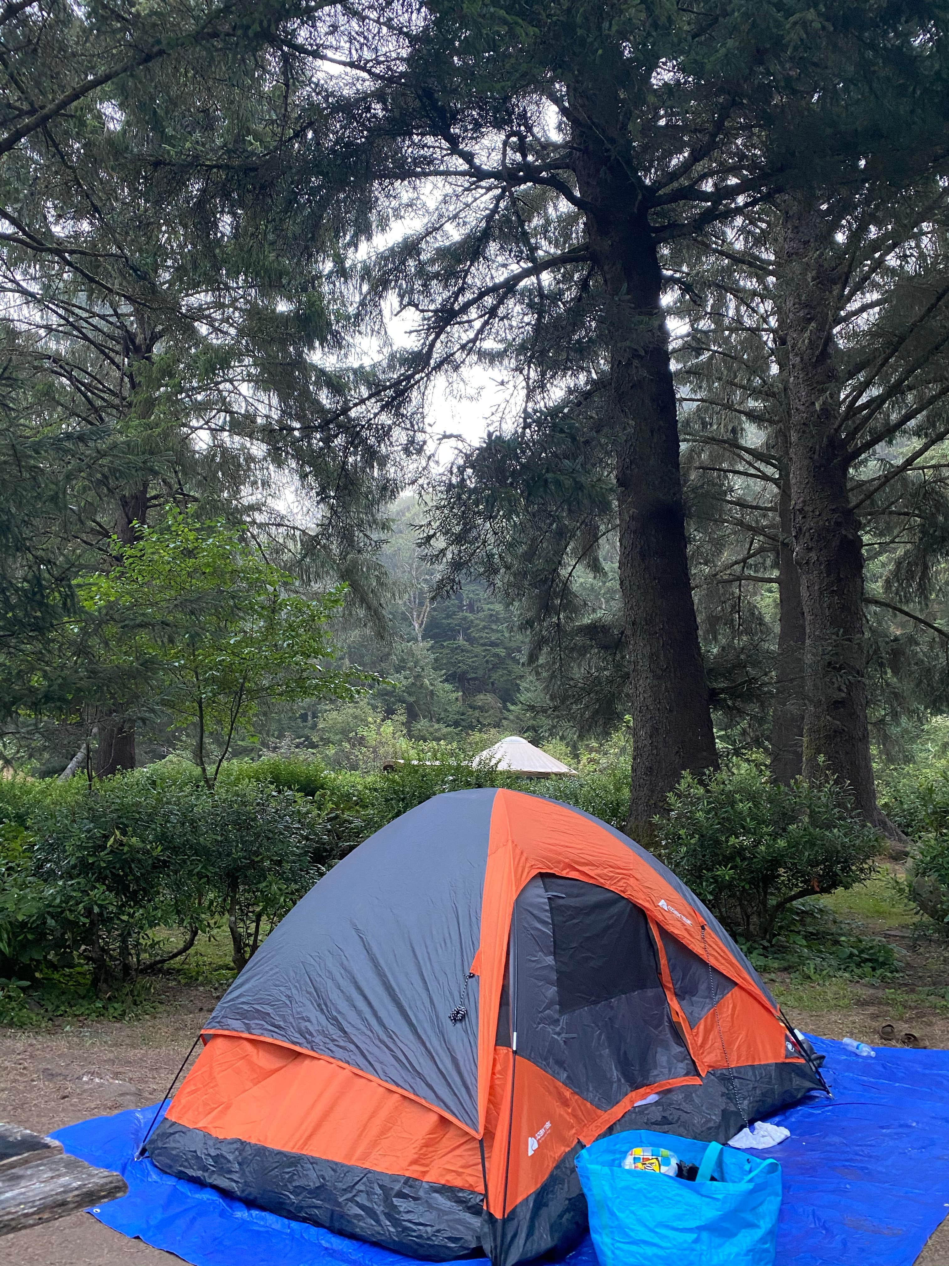 Fiona W.'s photo at Sunset Bay State Park Campground near Bandon, OR