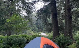 Fiona W.'s photo at Sunset Bay State Park Campground near Myrtle Point, OR