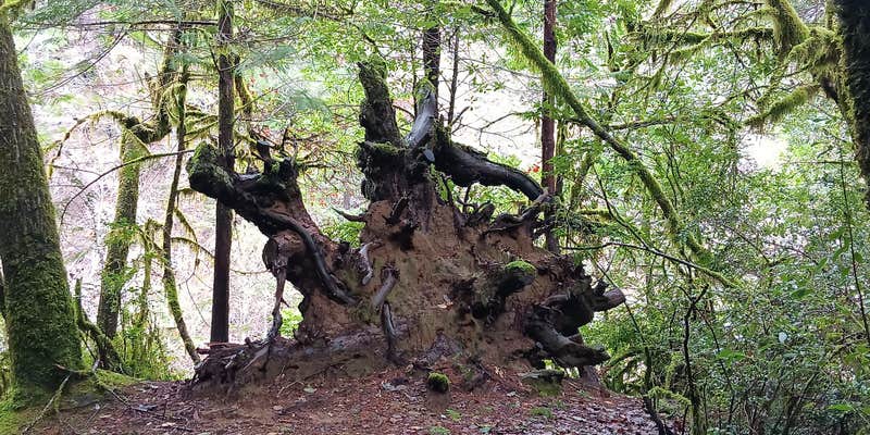 Camper submitted image from Sunshine Bar Campground