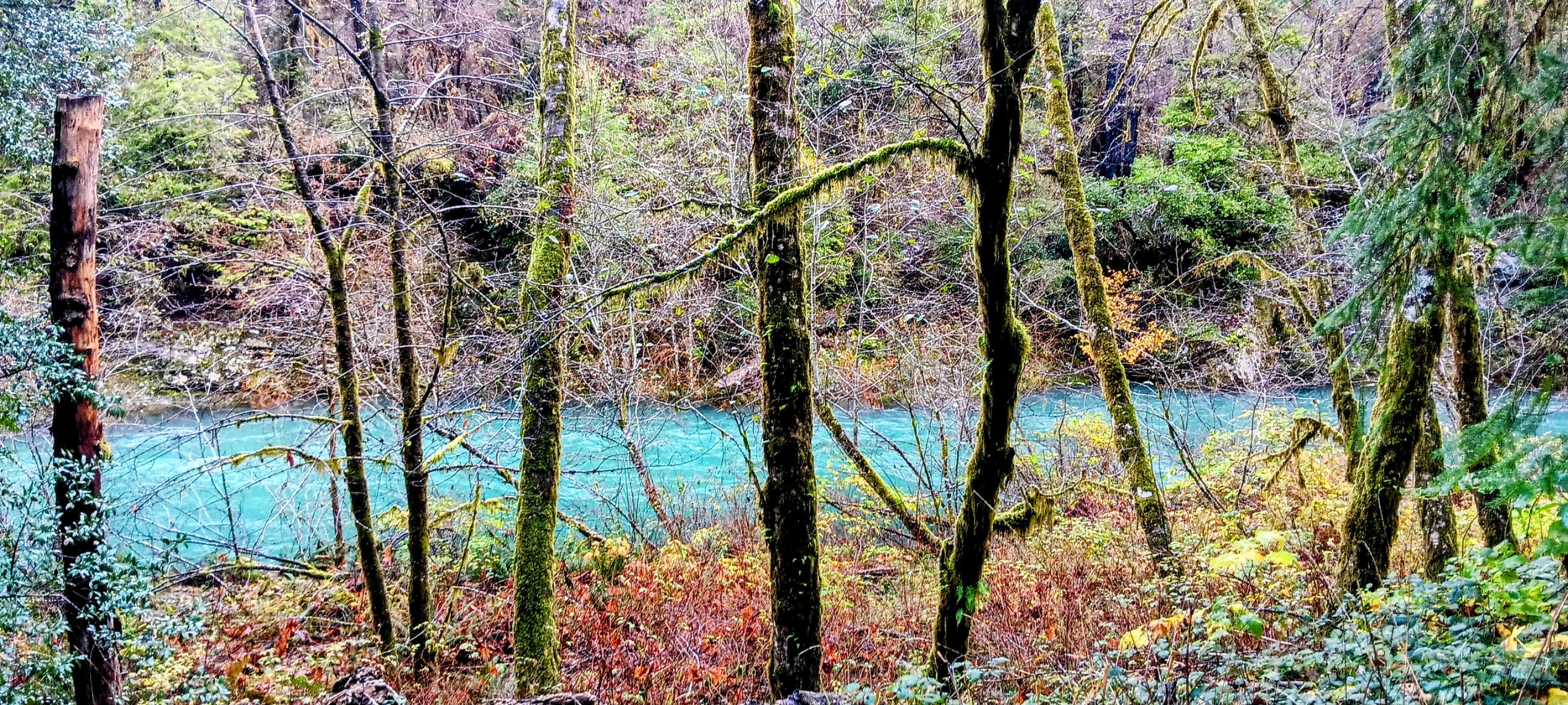 Camper-submitted photo at Sunshine Bar Campground near Port Orford, OR