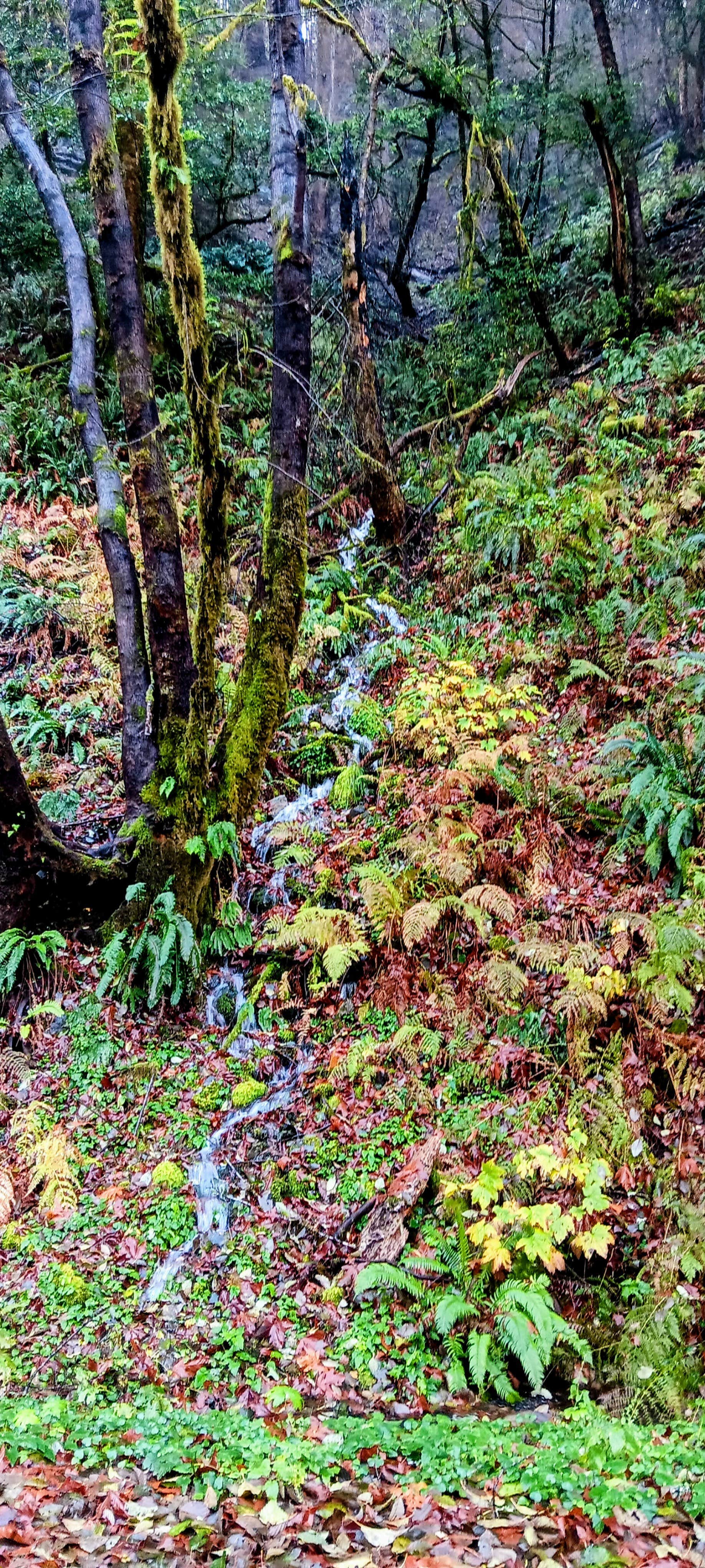 Camper-submitted photo at Sunshine Bar Campground near Port Orford, OR