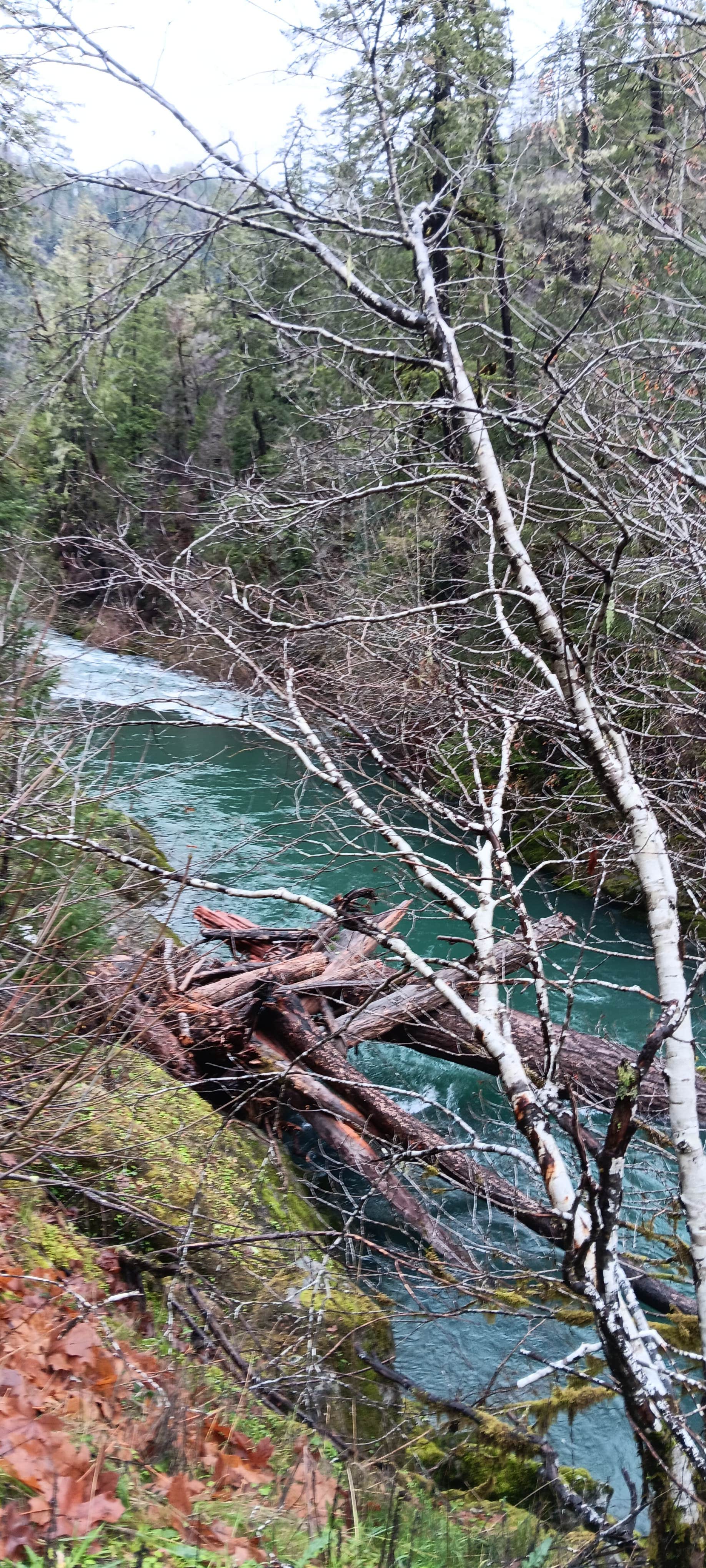 Camper-submitted photo at Sunshine Bar Campground near Port Orford, OR