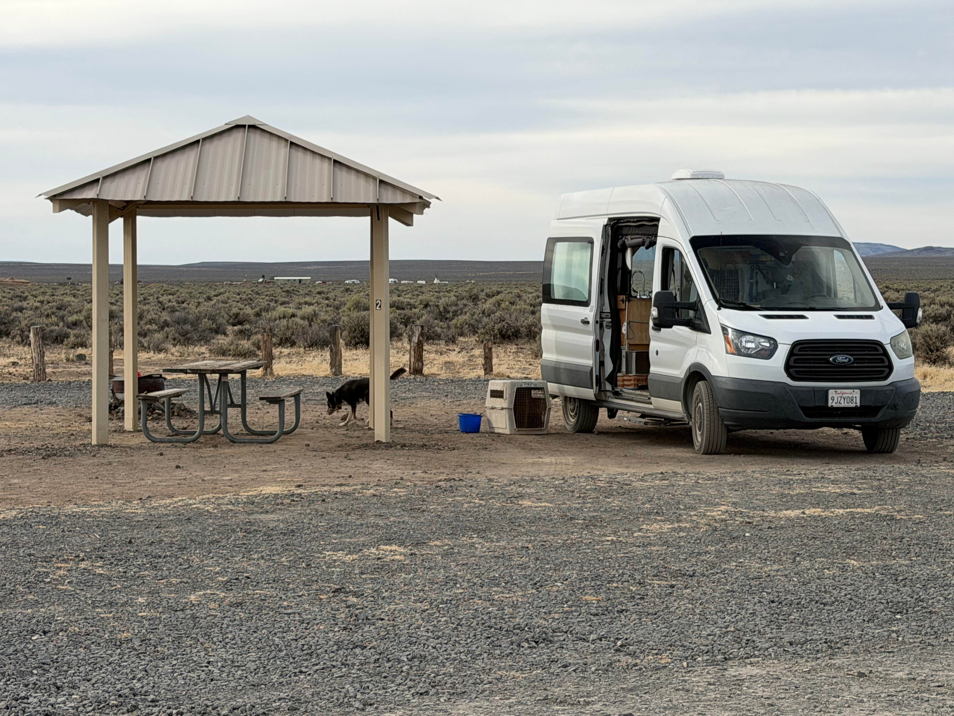 Virginia D.'s photo of camping with pets at Oregon Sunstone Public Collection Area near Adel, OR