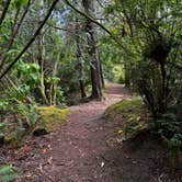 Review photo of Sutton Campground by Laura W., August 23, 2024