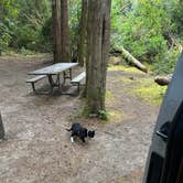 Review photo of Sutton Campground by mitzi M., August 23, 2026