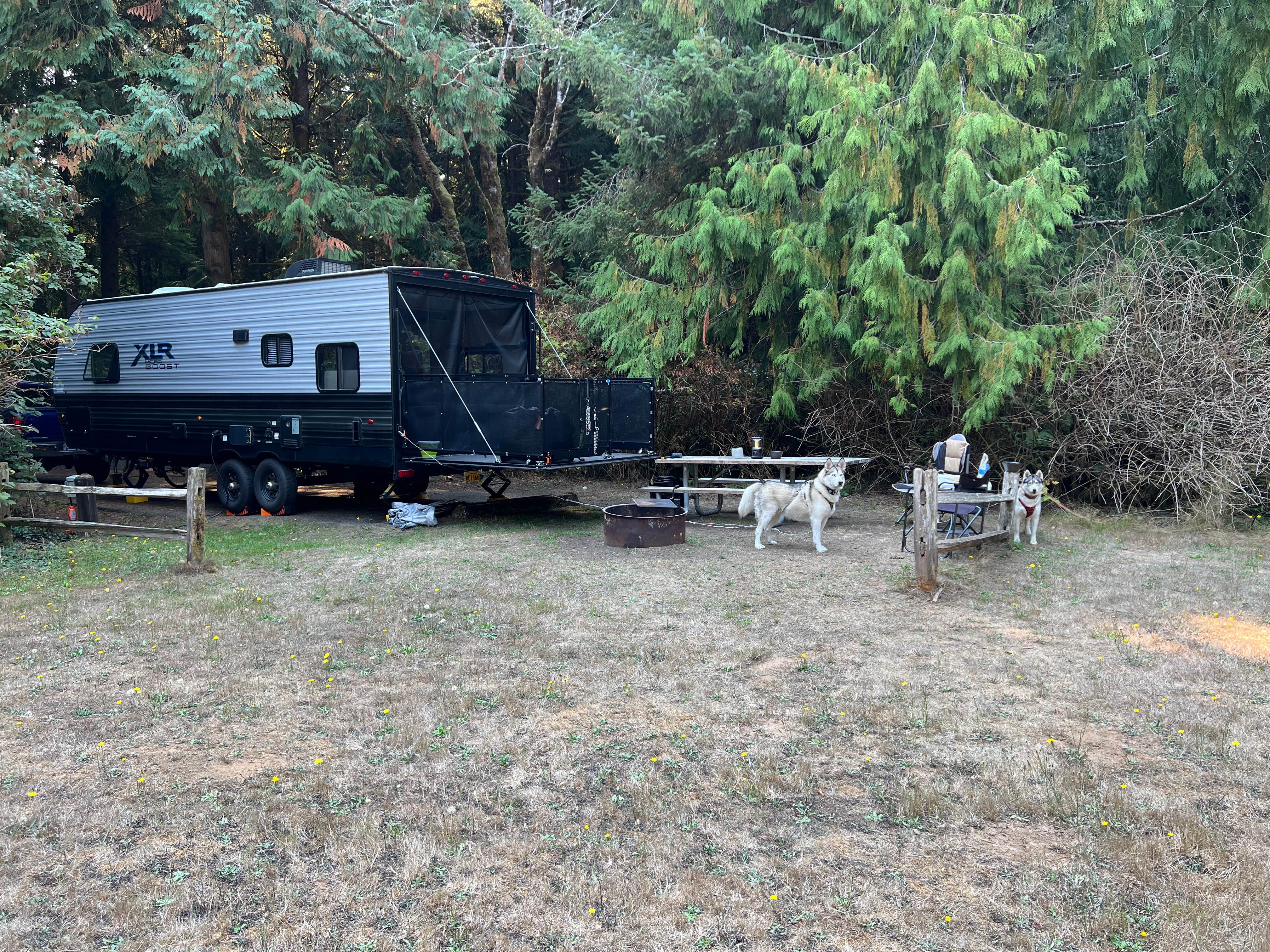 Brandy's photo of camping with pets at Sutton Campground near Florence, OR