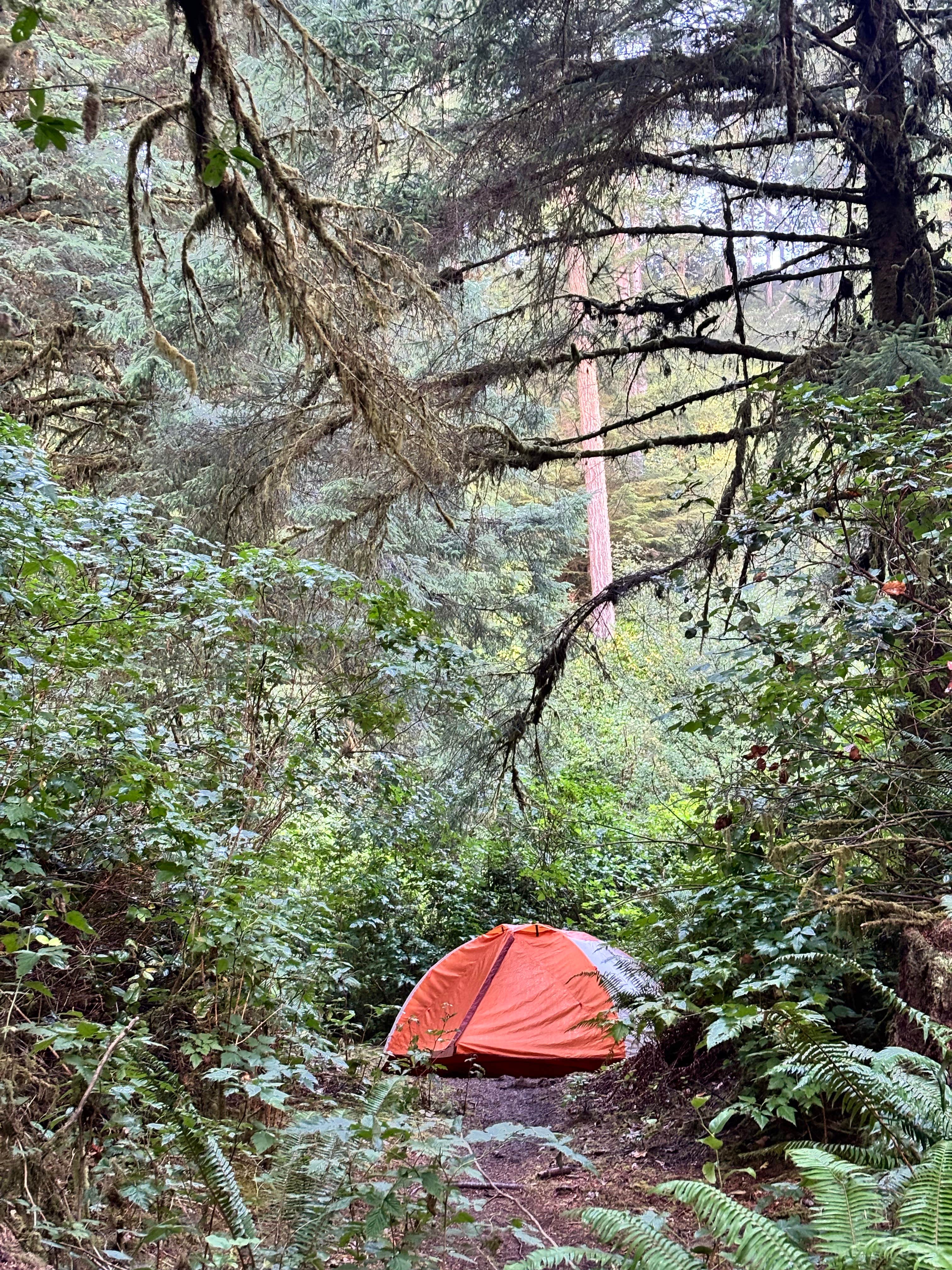 Sam S.'s photo at Tahkenitch Campground near Reedsport, OR