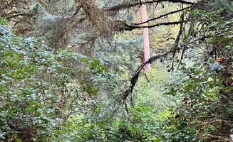 Sam S.'s photo at Tahkenitch Campground near Gardiner, OR