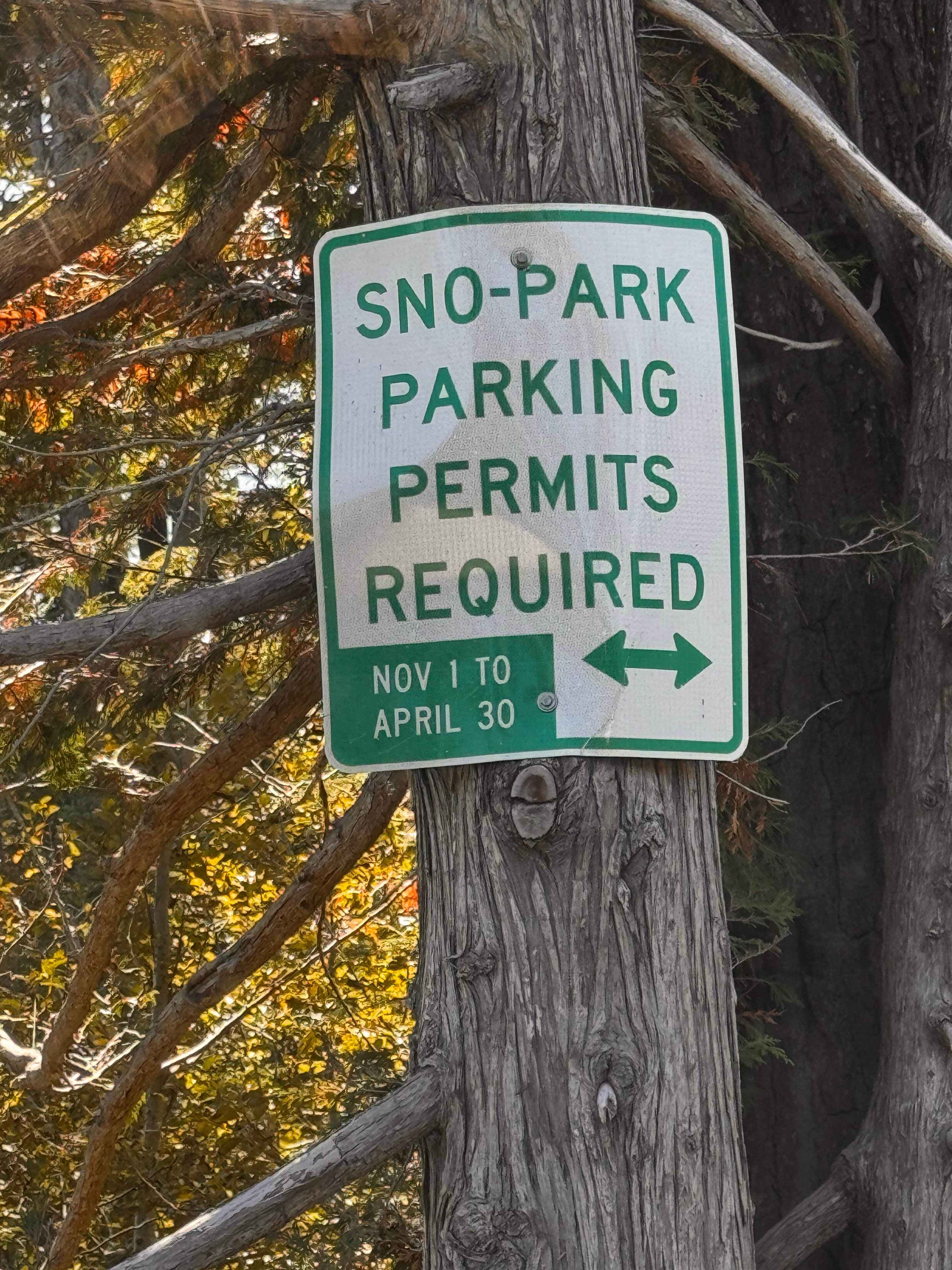 Camping near Top ‘O the Mountain: Teacup Lake Sno Park, Government Camp, Oregon