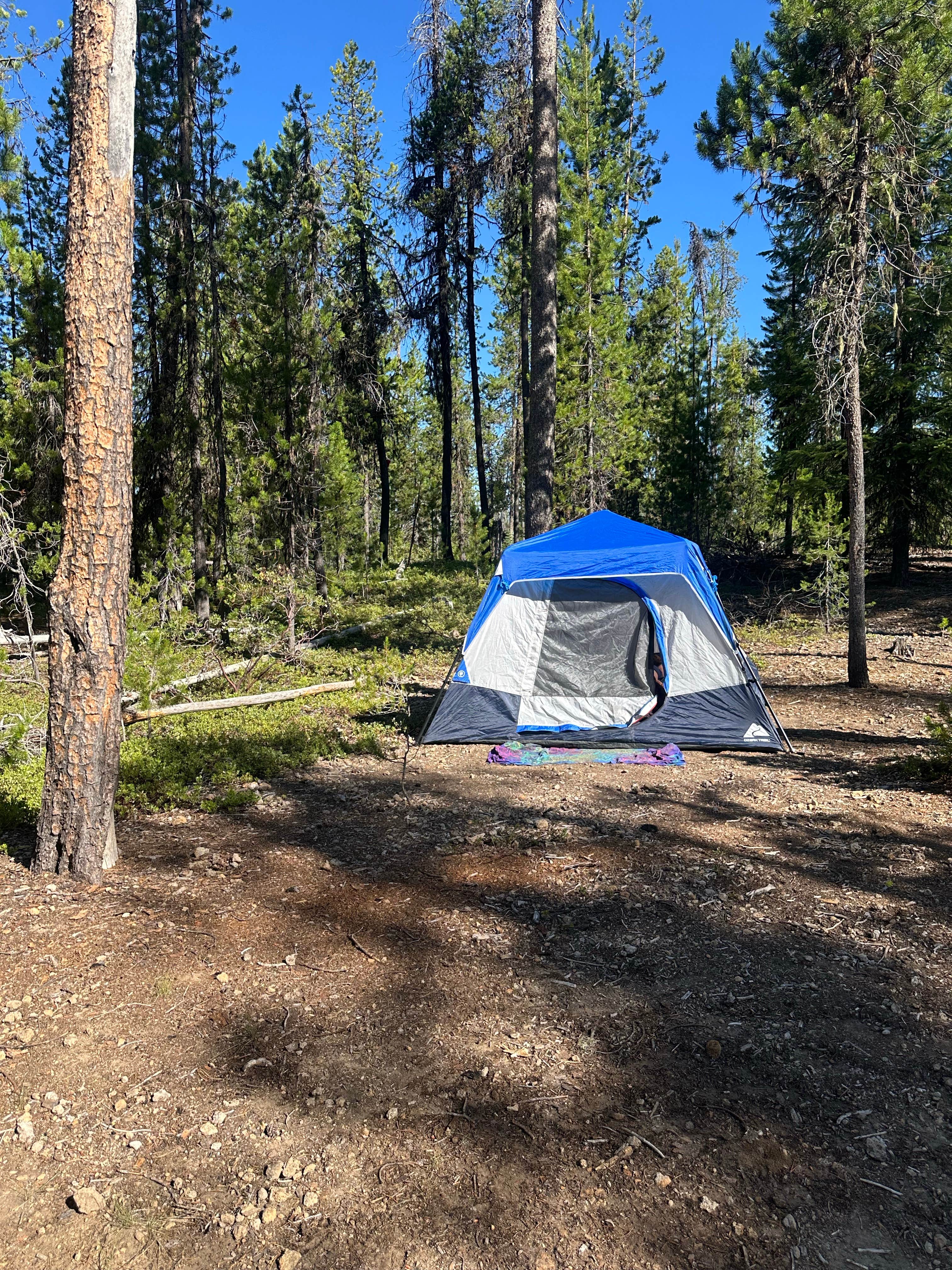 Camper-submitted photo at Thousand Springs Sno-Park near Prospect, OR