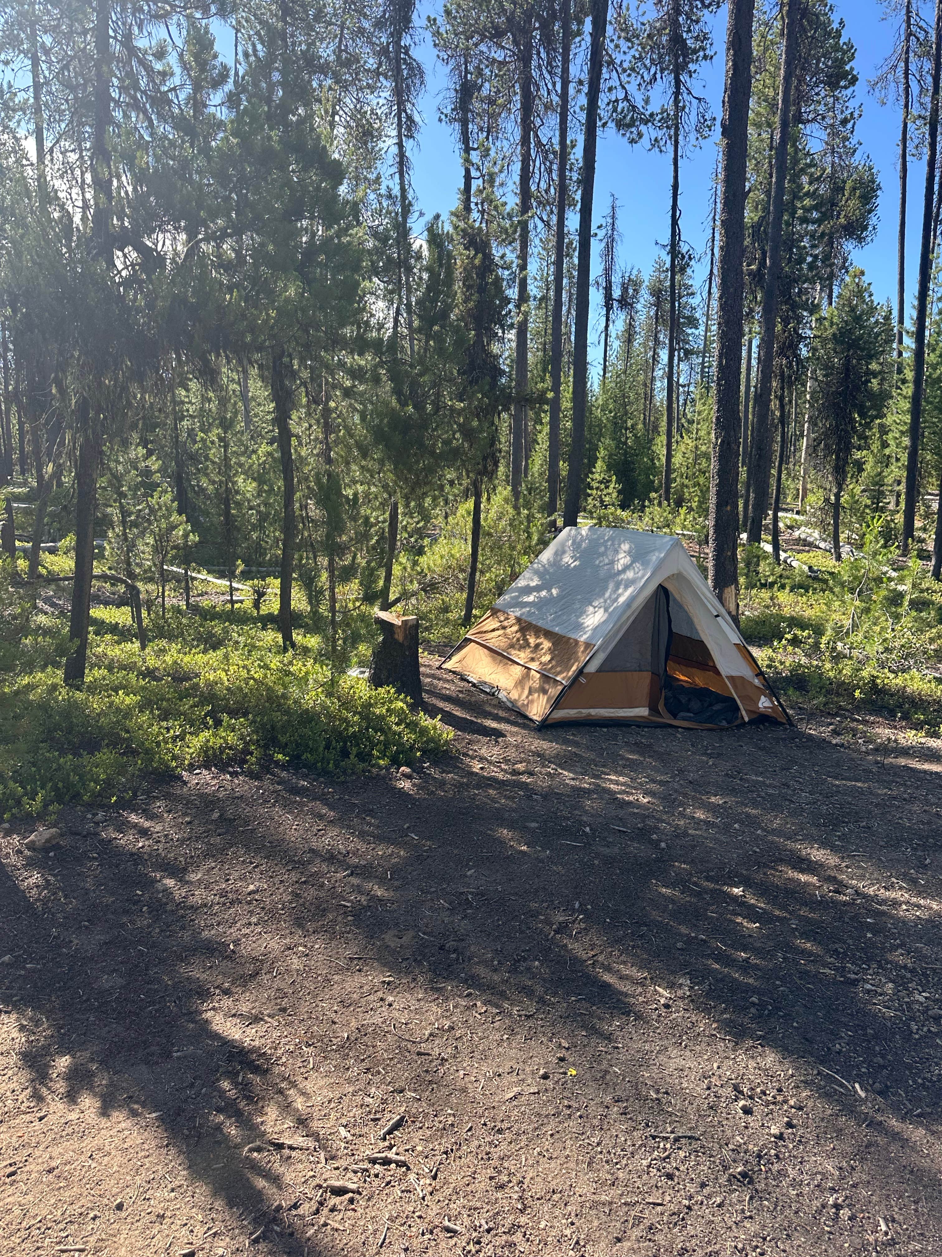 Camper-submitted photo at Thousand Springs Sno-Park near Prospect, OR