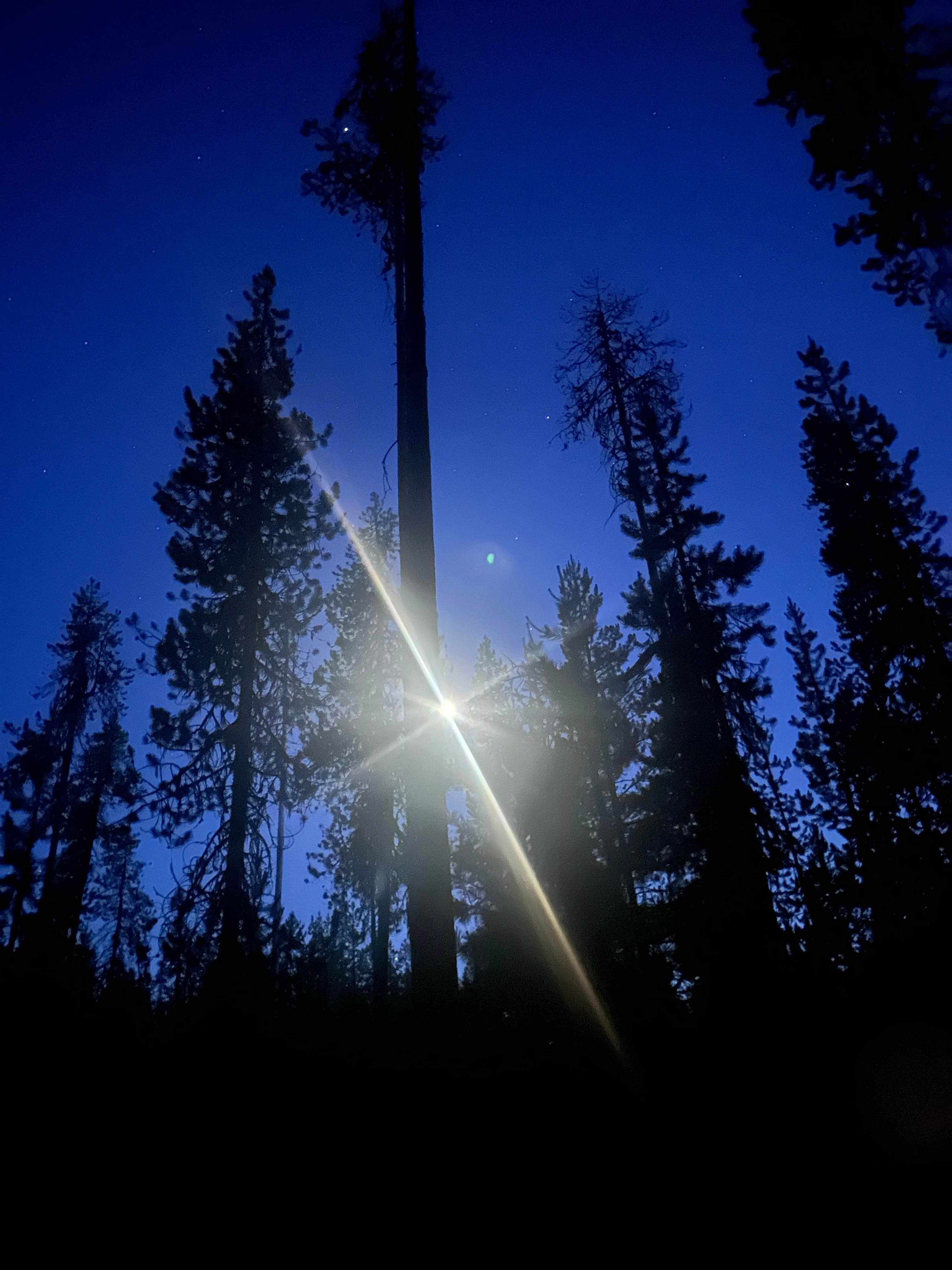 mason M.'s photo of a dispersed camping area at Thousand Springs Sno-Park near Central Point, OR
