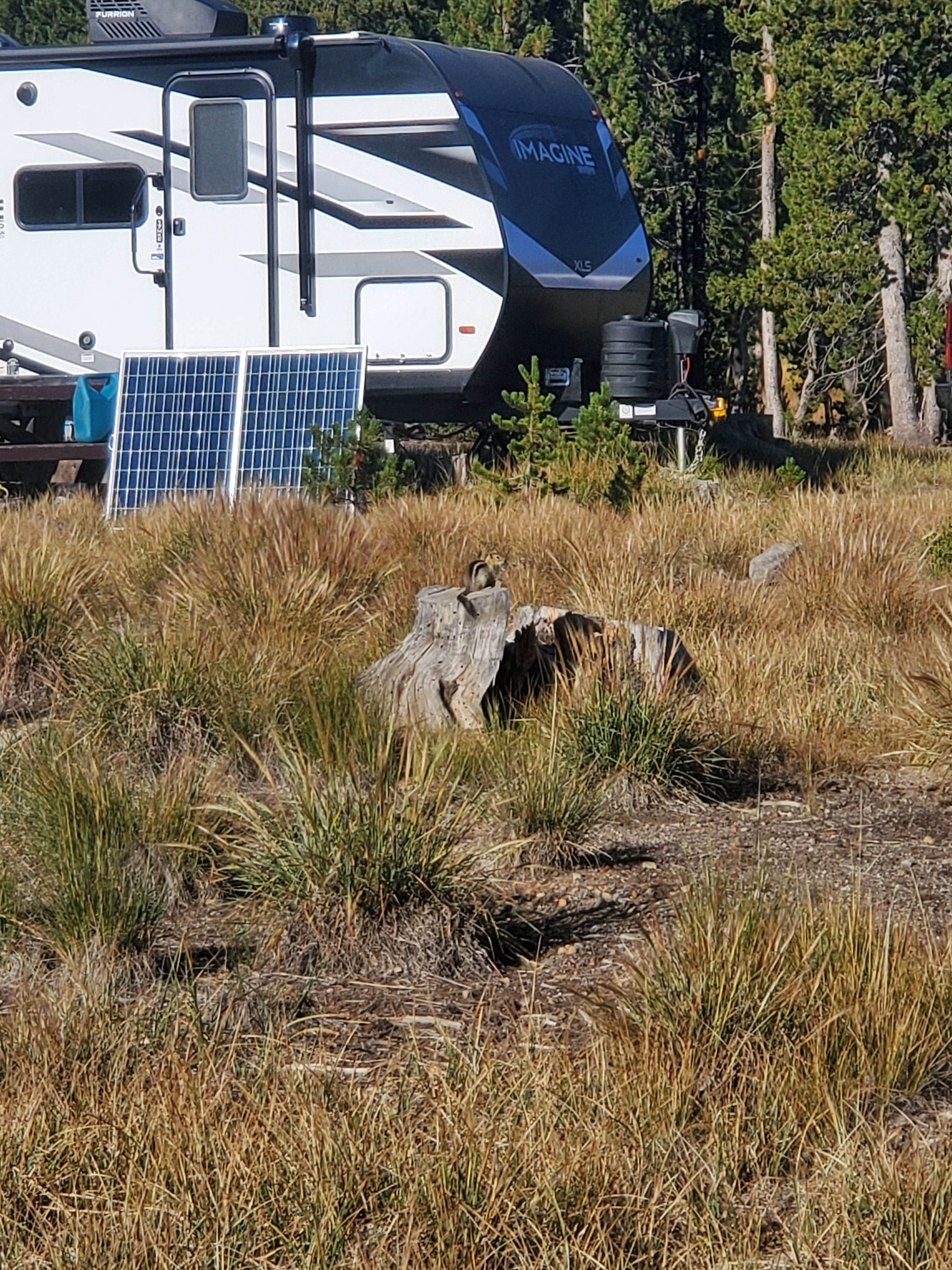 Camper submitted image from Three Creeks Meadow Campground - 2