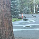 Review photo of Creekside Sisters City Park by Phillip C., September 15, 2025