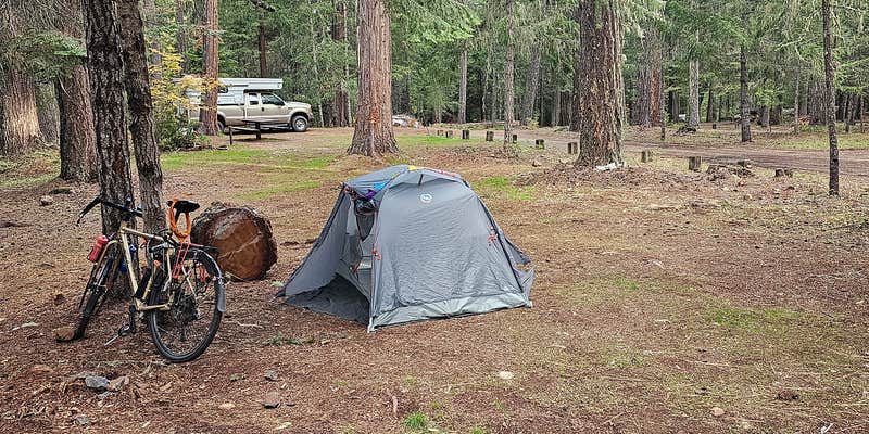 Camper submitted image from Threehorn Campground