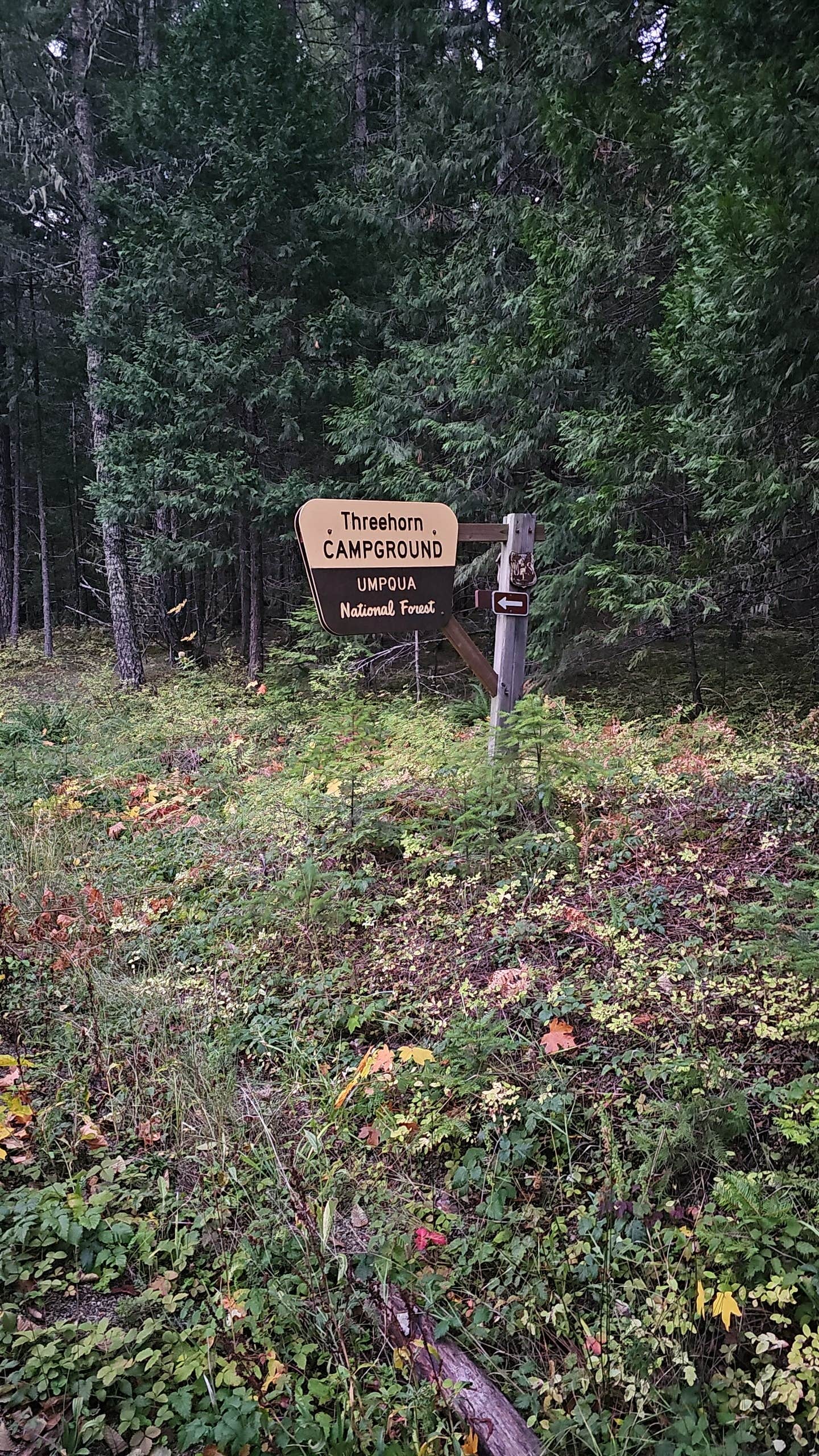 Camper-submitted photo at Threehorn Campground near Tiller, OR