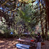 Review photo of Tillamook State Forest Nehalem Falls Campground by Kylee R., September 27, 2026