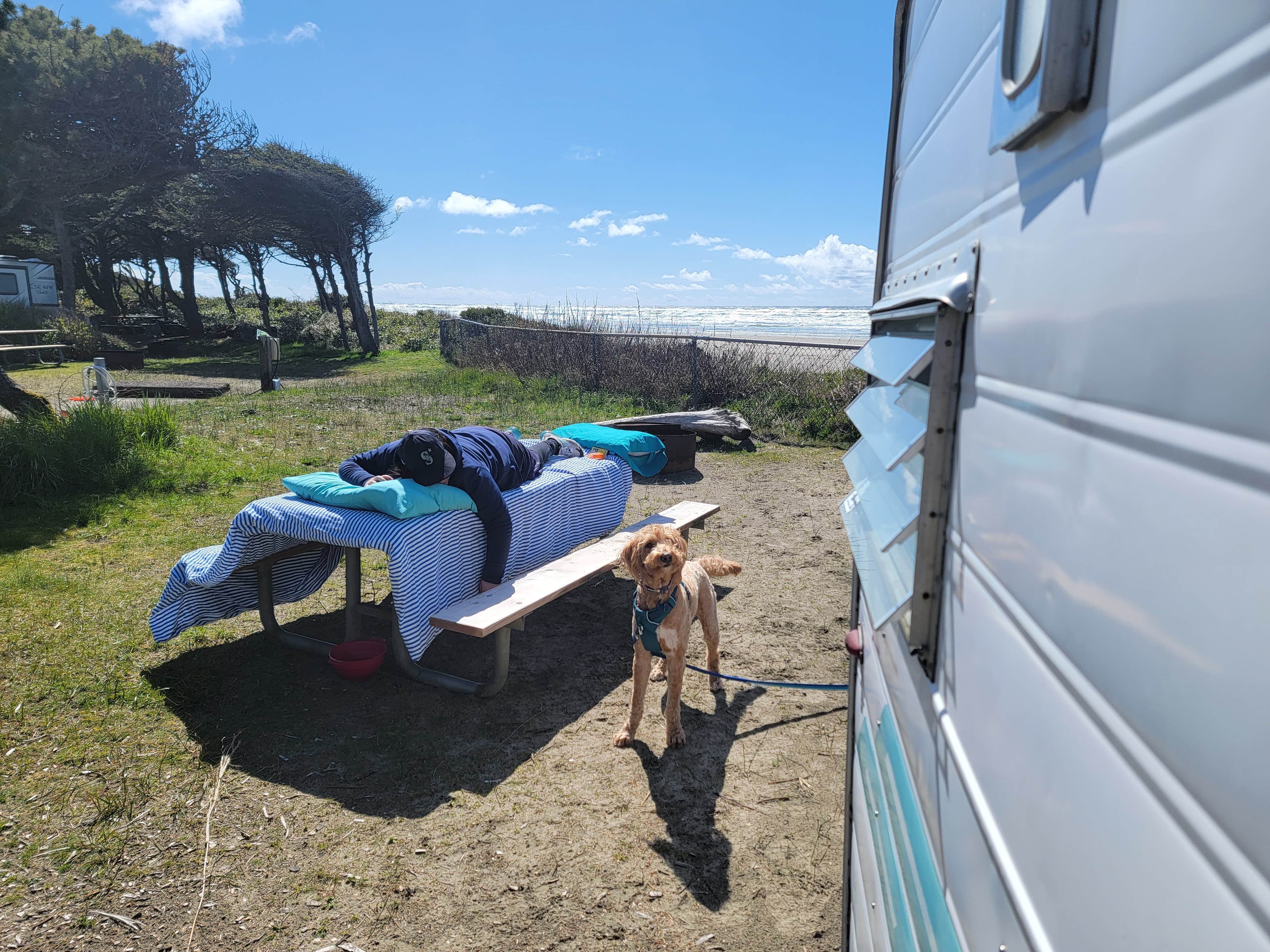 Beth V.'s photo of camping with pets at Tillicum Beach Campground near Agate Beach, OR