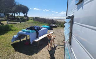 Beth V.'s photo of camping with pets at Tillicum Beach Campground near Newport, OR