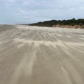 Review photo of Tillicum Beach Campground by Wanda C., September 25, 2026