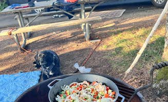 Kirsten G.'s photo at Tillicum Beach Campground near Seal Rock, OR