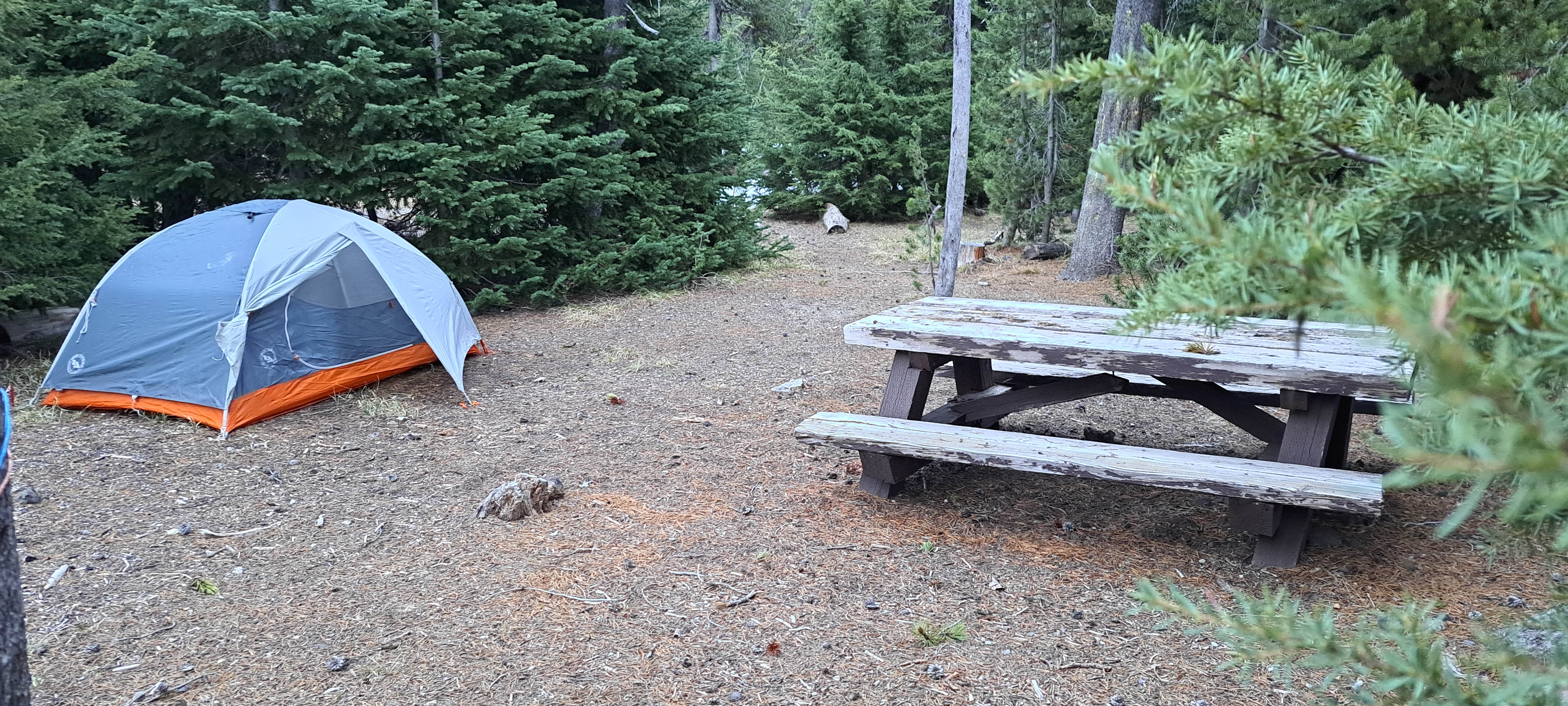 Karrah K.'s photo of tent camping at Todd Creek Horse Camp near Powell Butte, OR