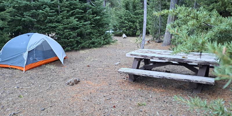 Camper submitted image from Todd Creek Horse Camp