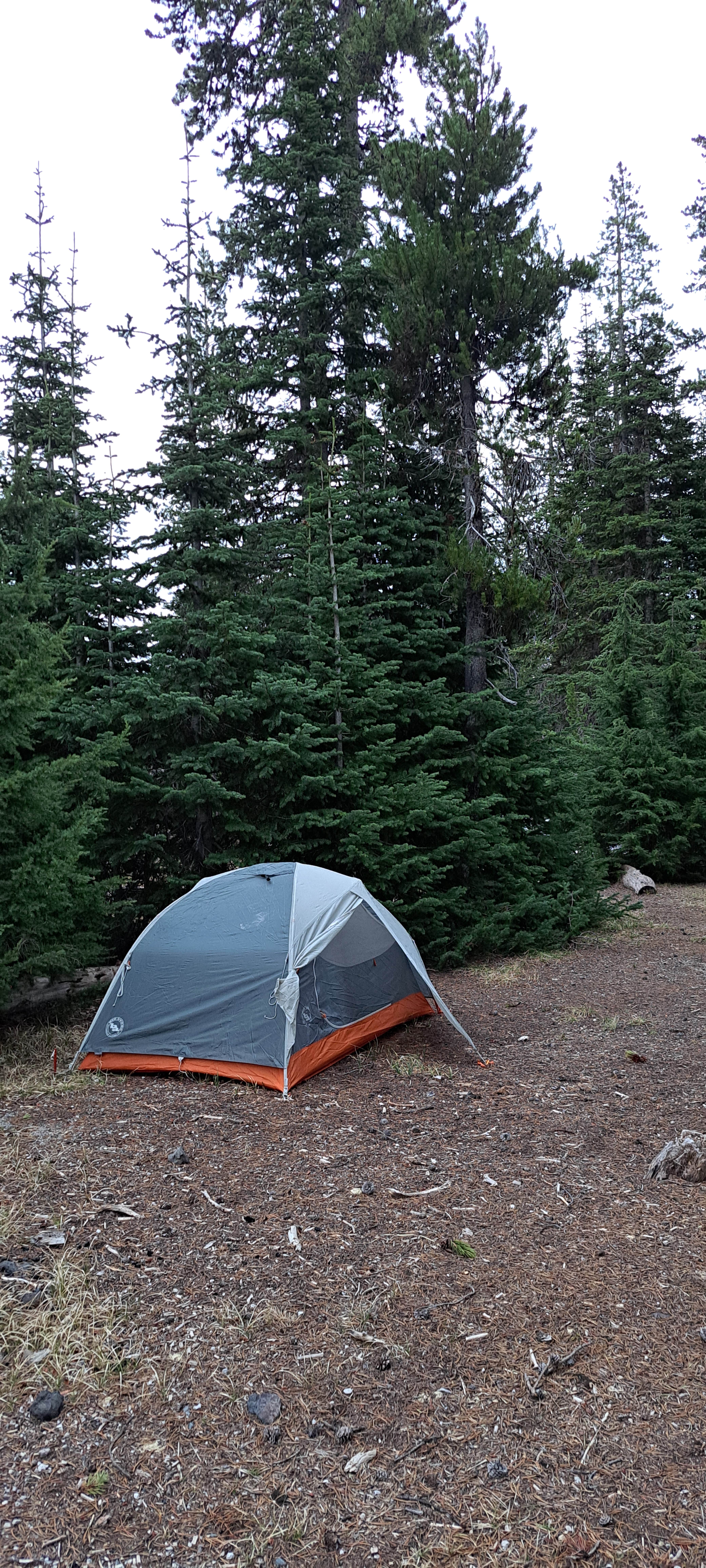 Camper-submitted photo at Todd Creek Horse Camp near Deschutes & Ochoco National Forests & Crooked River National Grassland