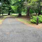 Review photo of Toll Bridge Park Campground by Eric P., July 2, 2026