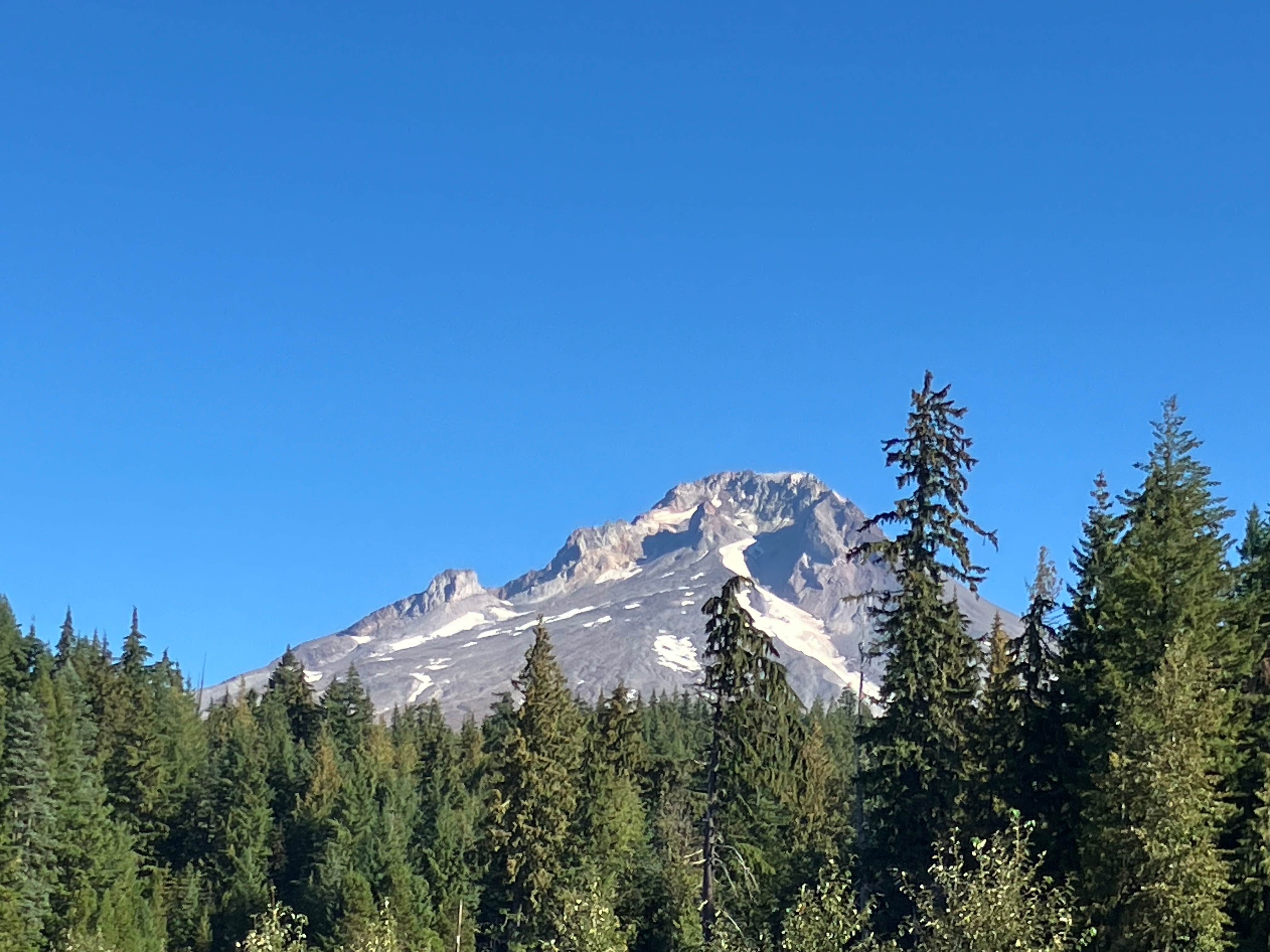 Camper submitted image from Trillium Sno-Park - 1