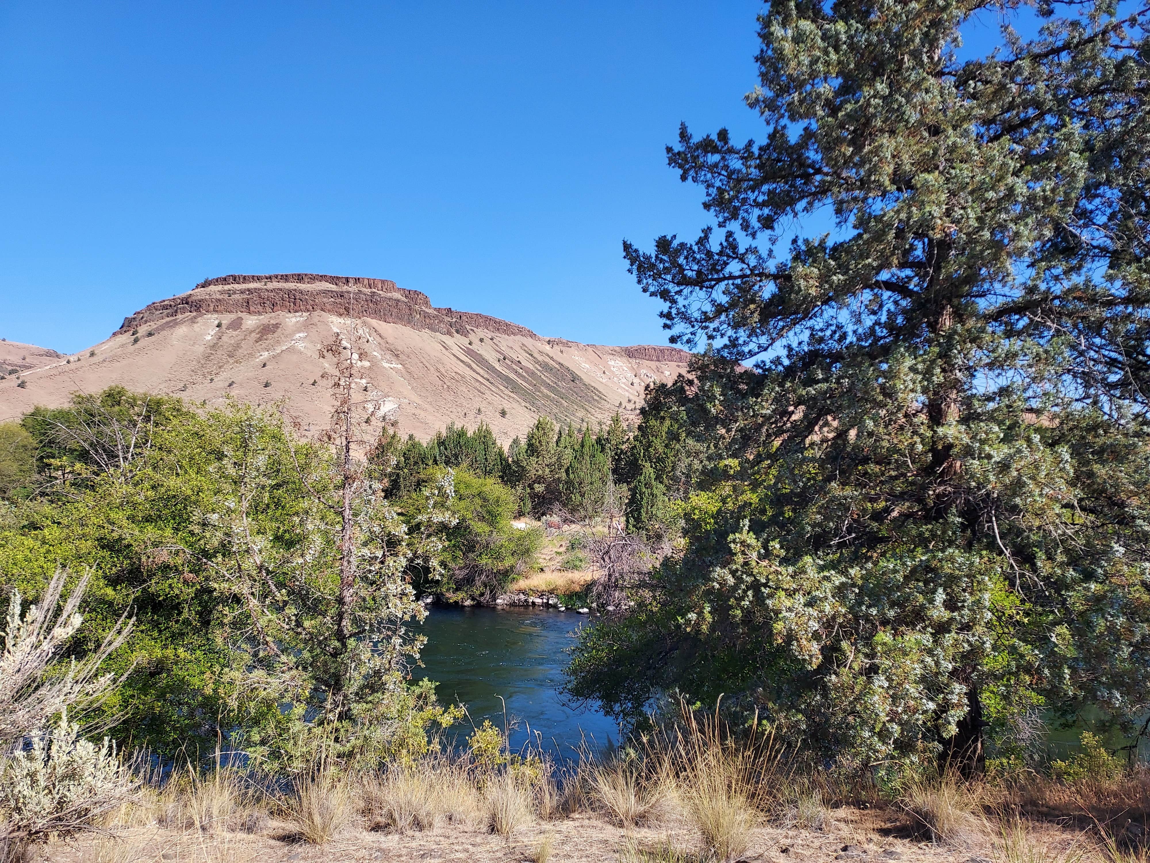 Camper-submitted photo at Trout Creek Campground Boat Ramp near Alder Springs, OR