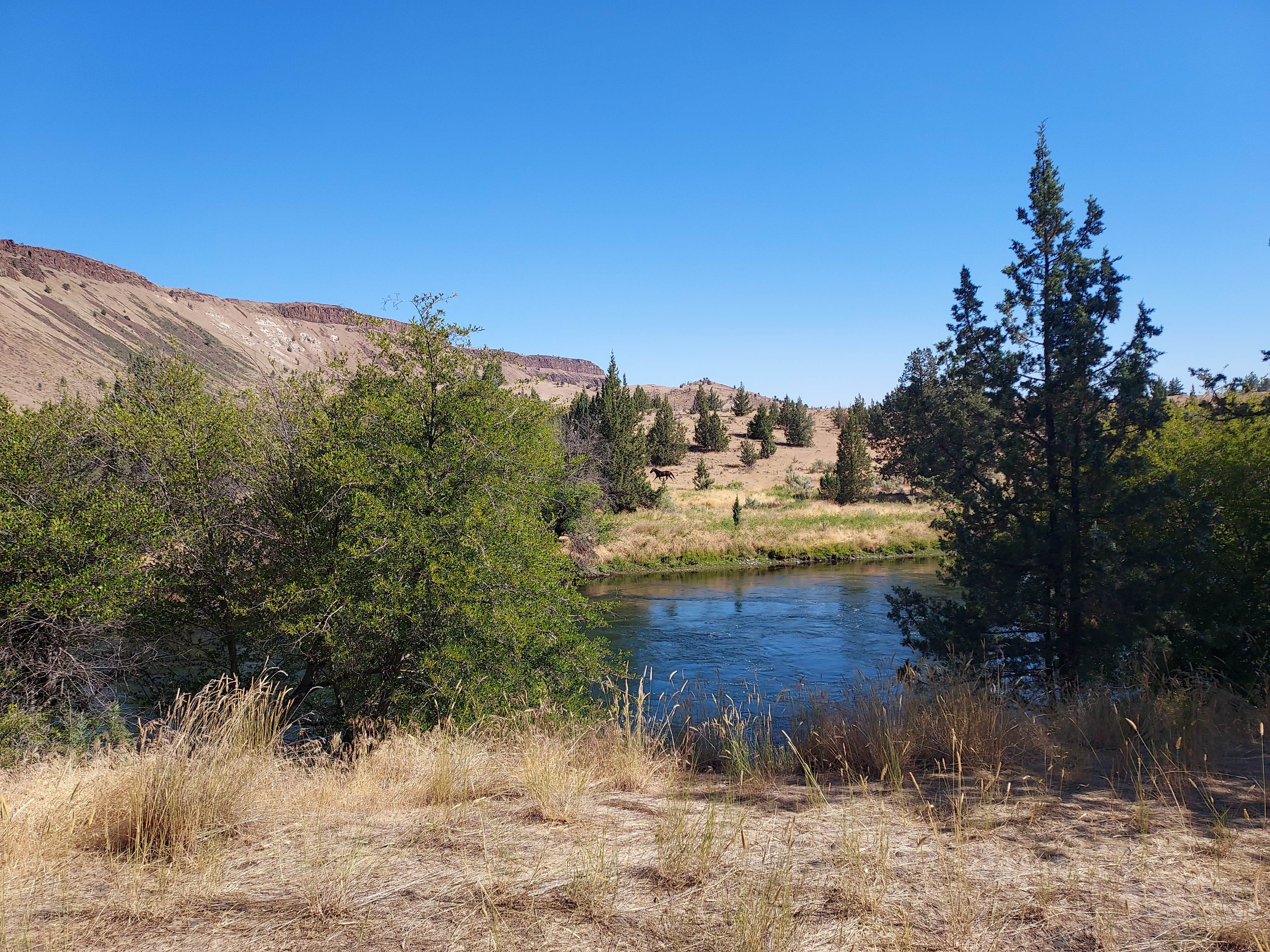 Camper-submitted photo at Trout Creek Campground Boat Ramp near Alder Springs, OR