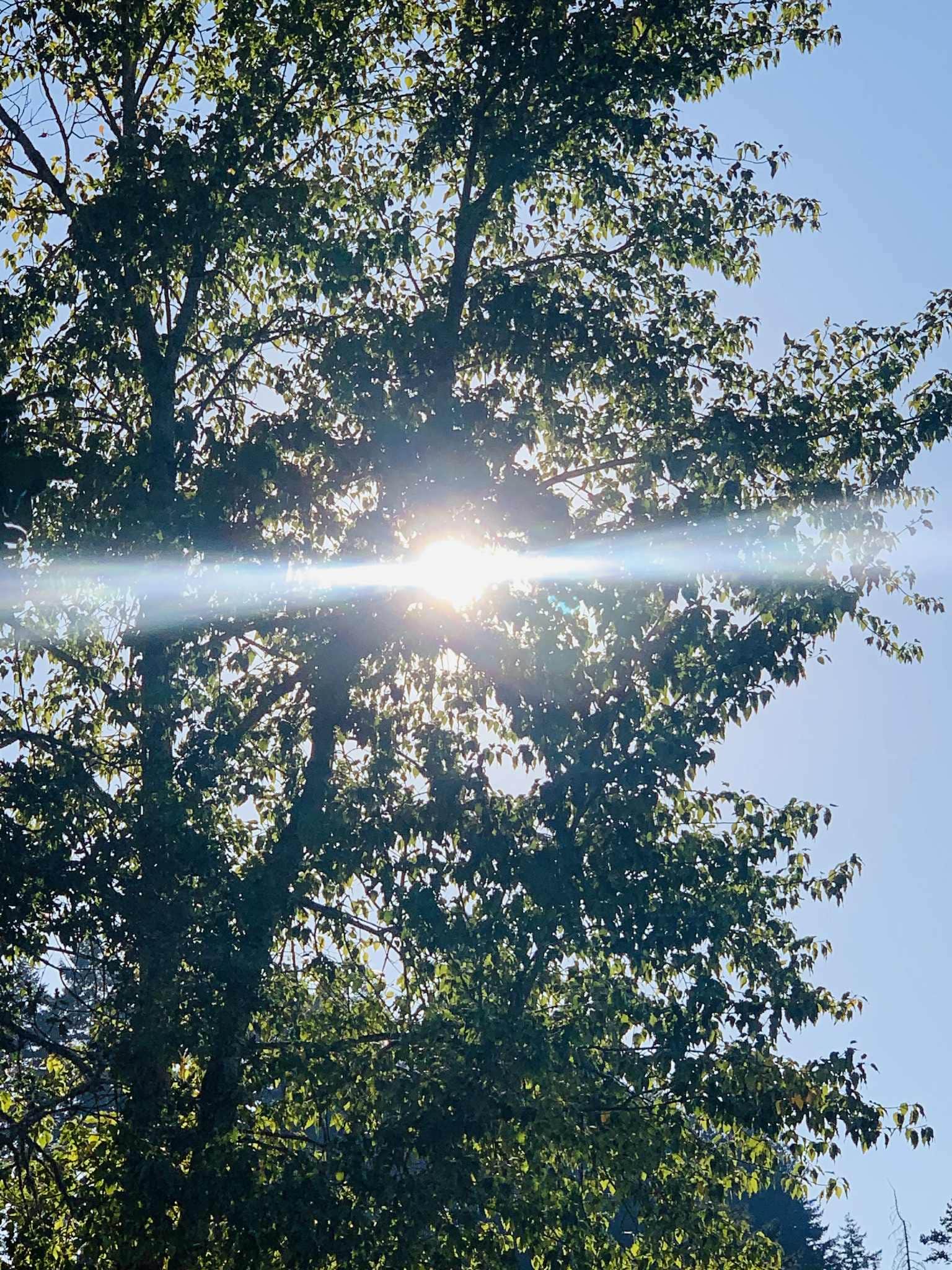 Camper-submitted photo at Tucker Park Campground near Carson, WA