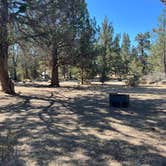 Review photo of Tumalo State Park Campground by Sean L., August 12, 2025