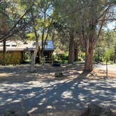 Review photo of Tumalo State Park Campground by Sean L., August 12, 2025