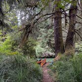 Review photo of Tyee Campground by Liz D., August 20, 2026