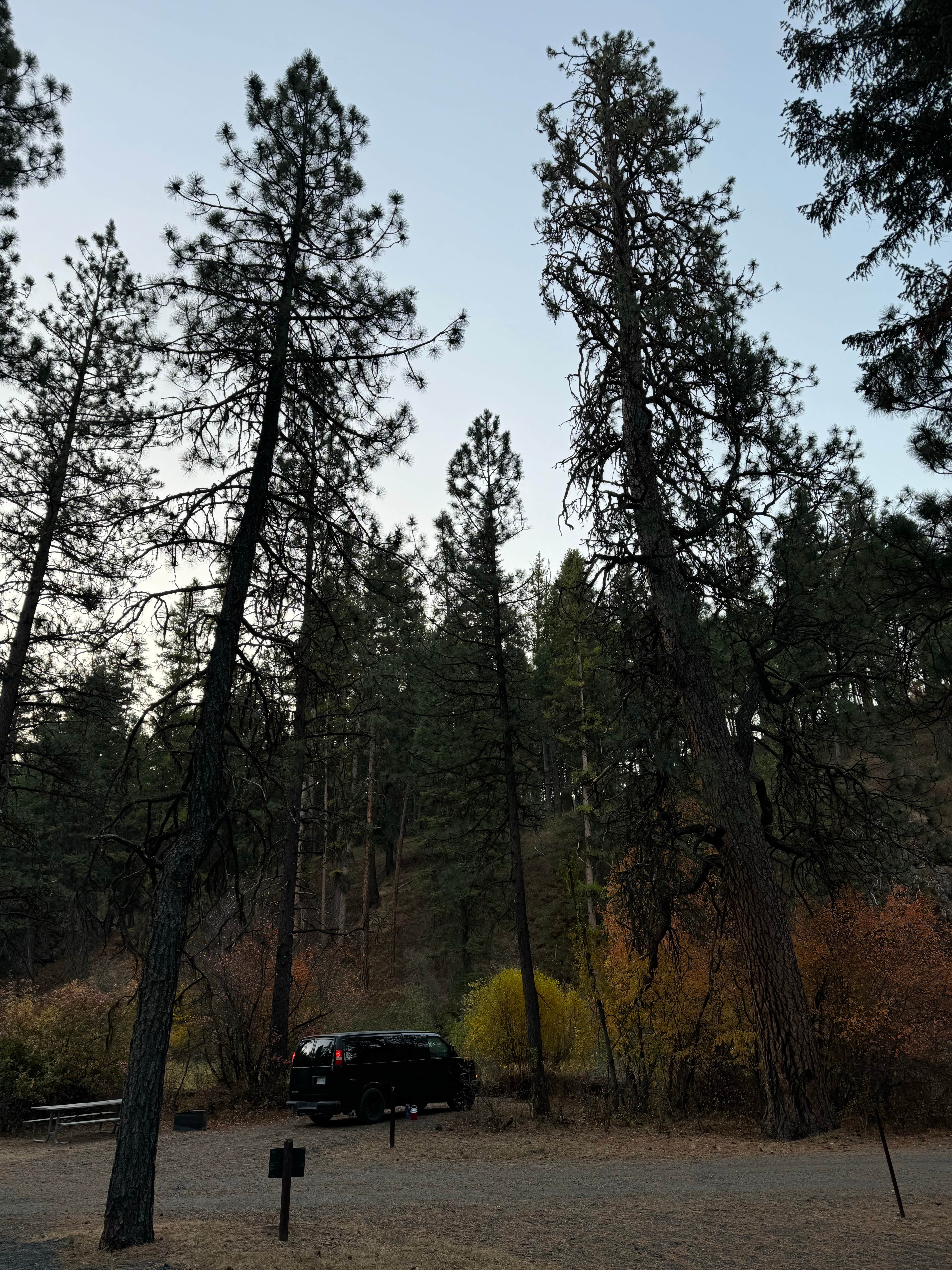 Camper-submitted photo at Ukiah-Dale Forest State Scenic Corridor near Ukiah, OR