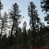 Review photo of Ukiah-Dale Forest State Scenic Corridor by Jaime K., October 13, 2024