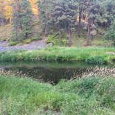 Review photo of Ukiah-Dale Forest State Scenic Corridor by Joseph B., July 24, 2024