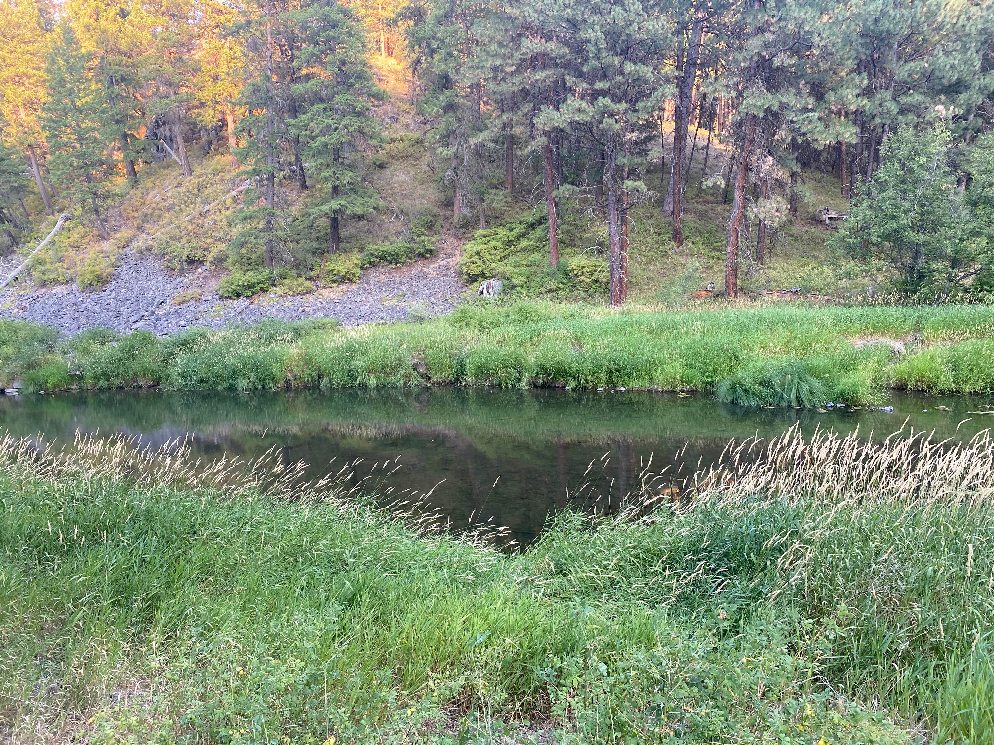 Camper submitted image from Ukiah-Dale Forest State Scenic Corridor - 1