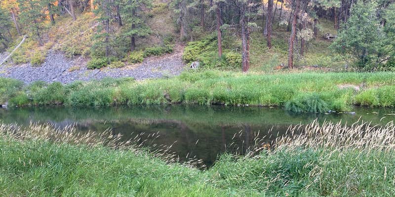 Camper submitted image from Ukiah-Dale Forest State Scenic Corridor