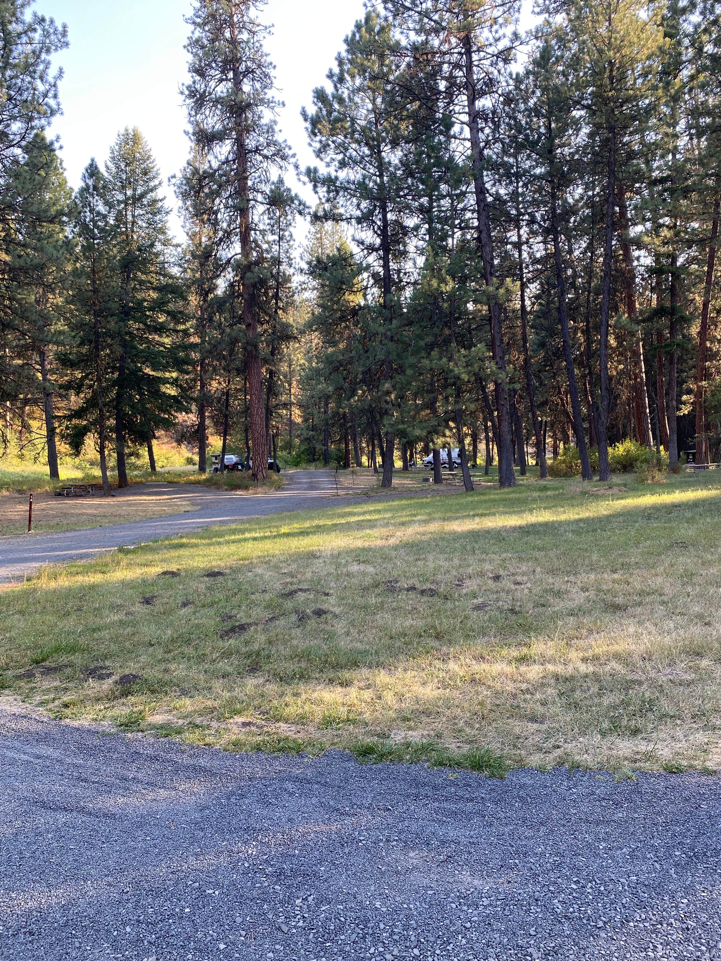 Camper-submitted photo at Ukiah-Dale Forest State Scenic Corridor near Ukiah, OR