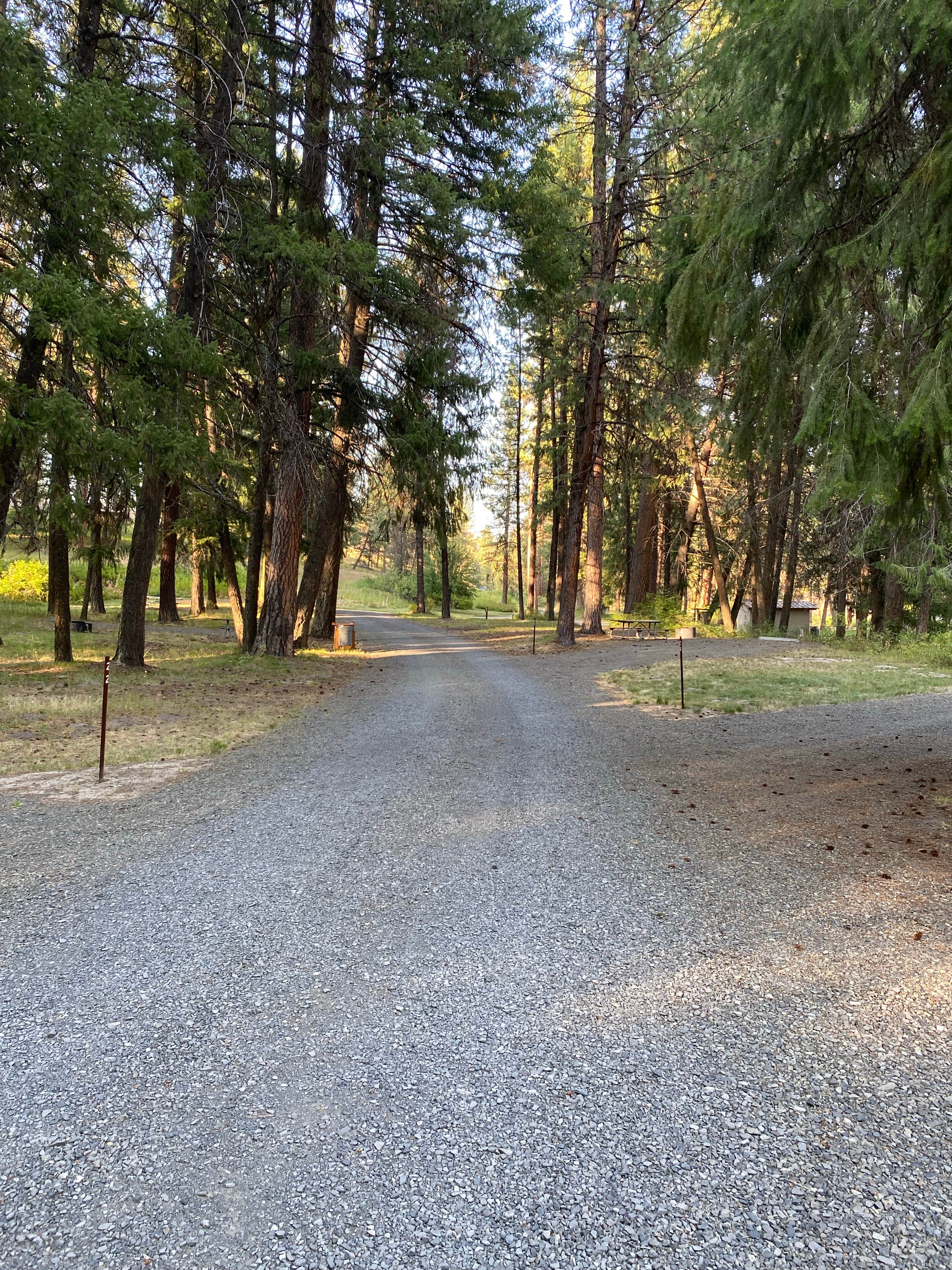 Camper submitted image from Ukiah-Dale Forest State Scenic Corridor - 3