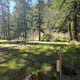 Umatilla Forks Campground