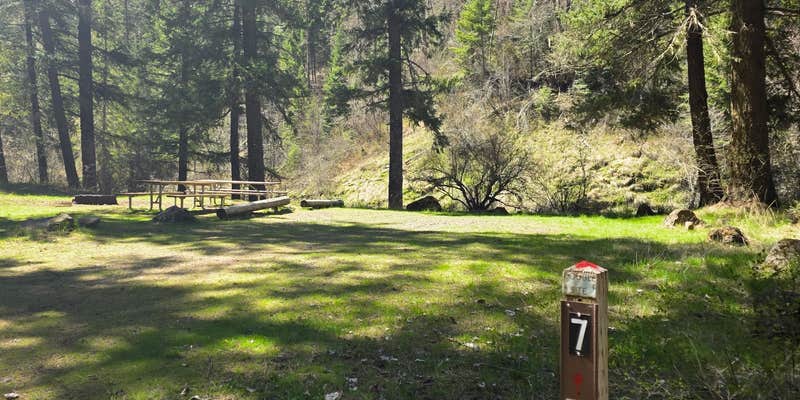 Camper submitted image from Umatilla Forks Campground