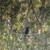 Review photo of Umpqua Lighthouse State Park Campground by mark F., March 22, 2026