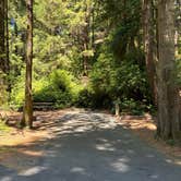 Review photo of Umpqua Lighthouse State Park Campground by Laura H., June 23, 2025