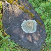 Review photo of Valley of the Rogue State Park Campground by Semi H., May 7, 2025