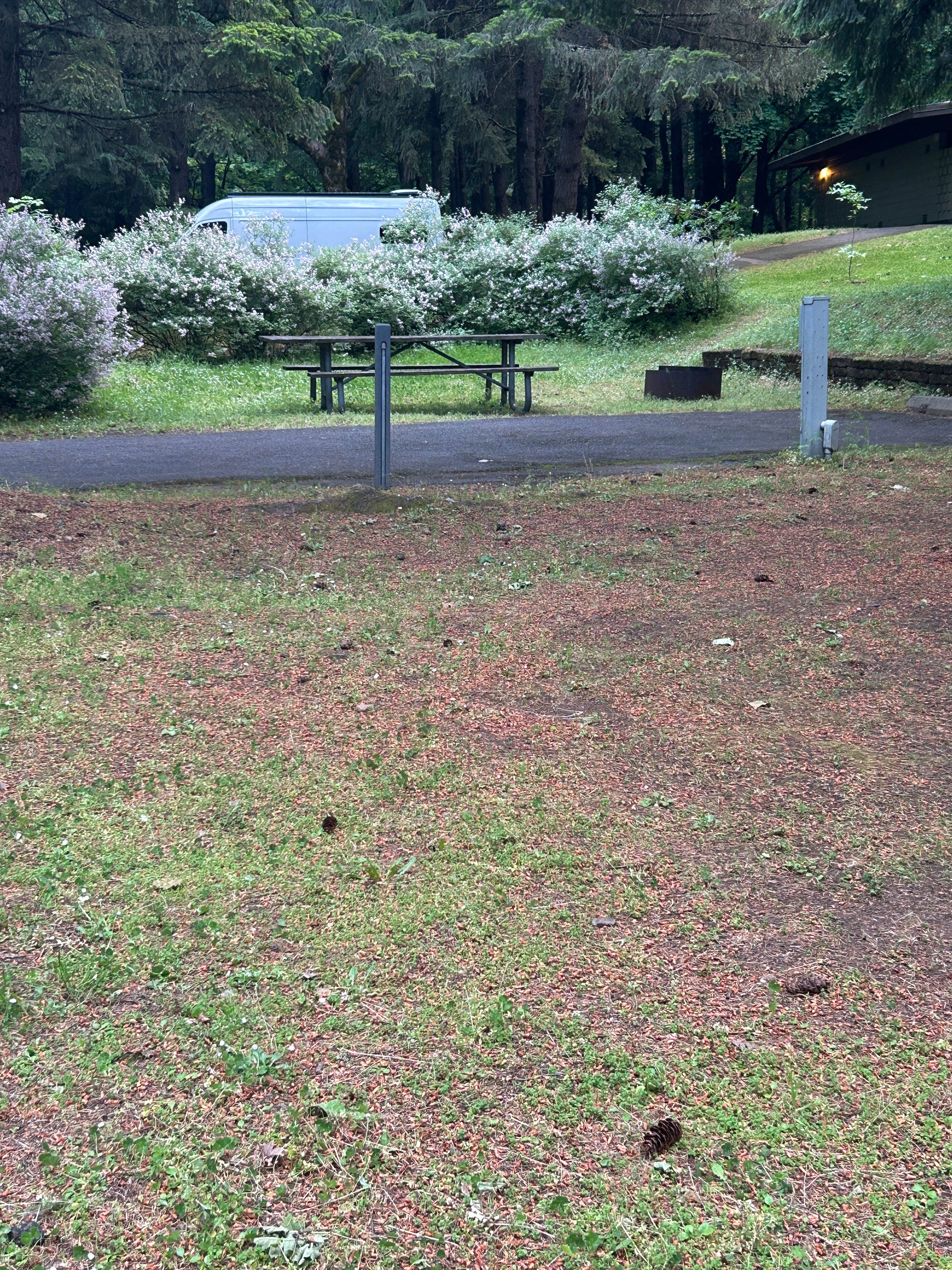 Camper-submitted photo at Viento State Park Campground near Carson, WA