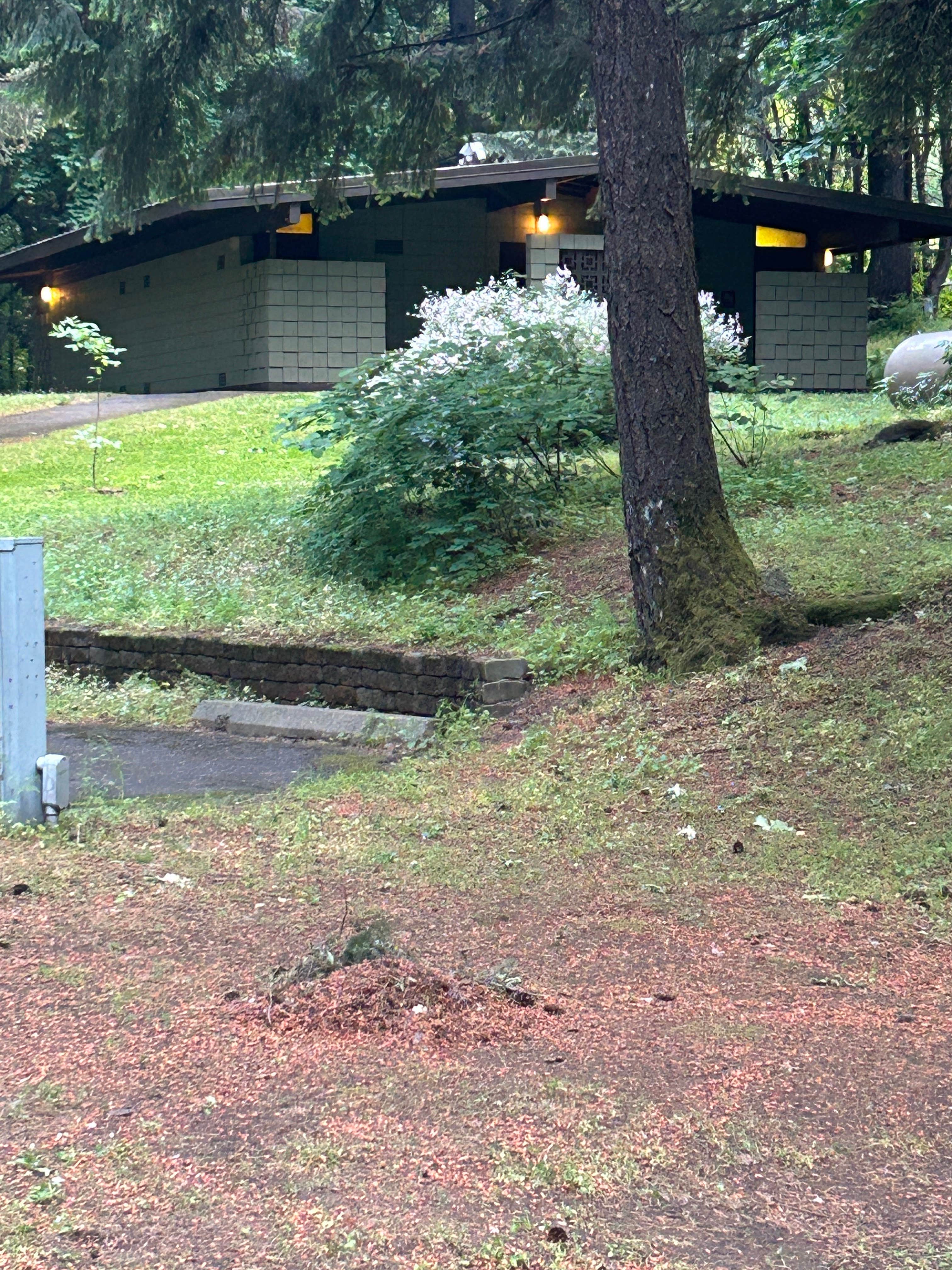 Camper-submitted photo at Viento State Park Campground near Carson, WA